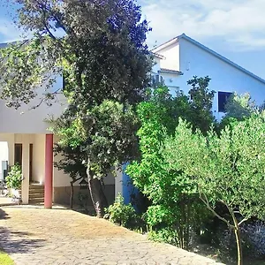 Roko Lalin Apartament